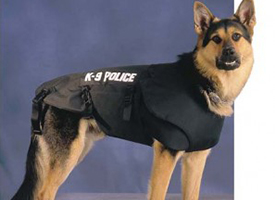 k9警犬